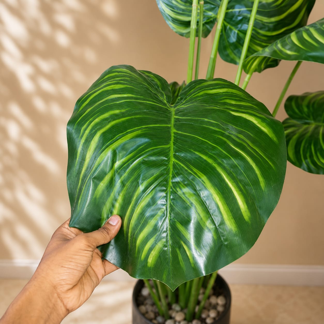 Tiger Plant