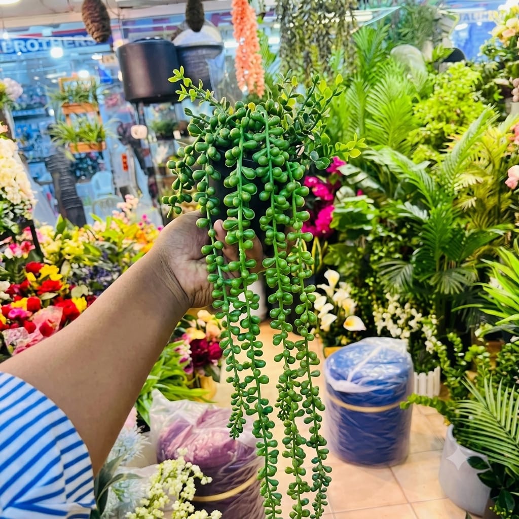 Pearl Hanging Pot