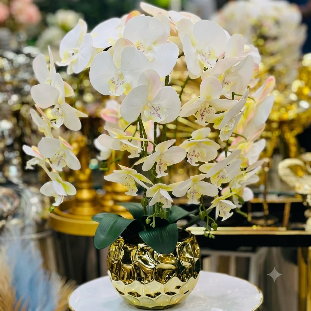 Orchids