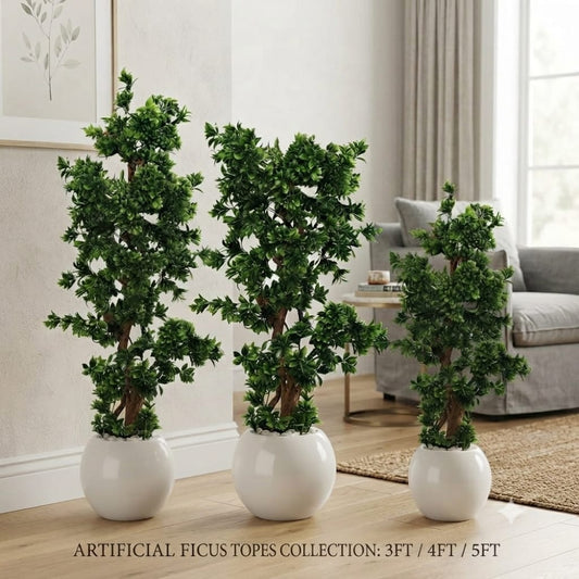Ficus Topes