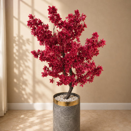 Chinese Blossom Plant
