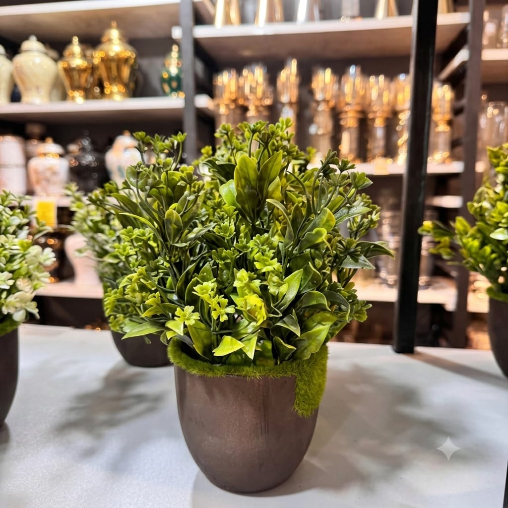 Flowers Pots Premium