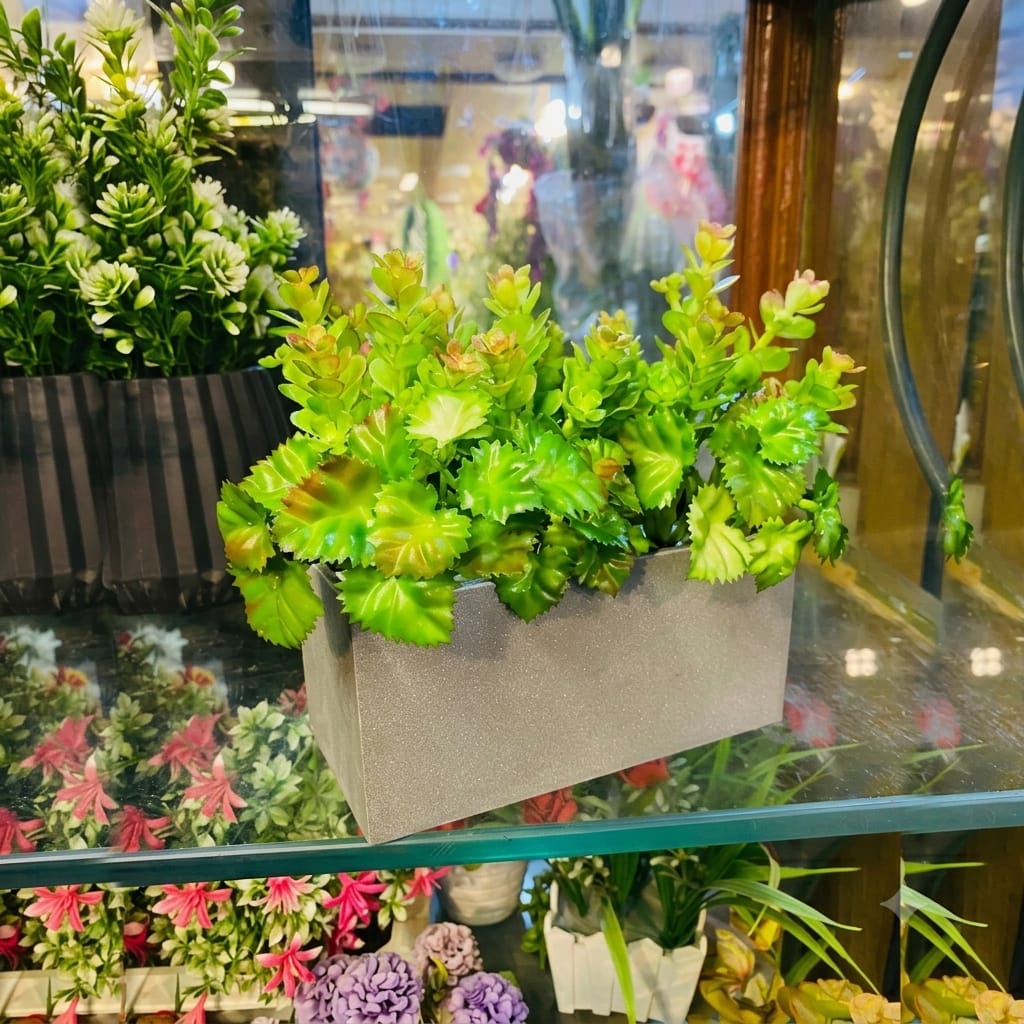 Mini Kiyari Arrangment