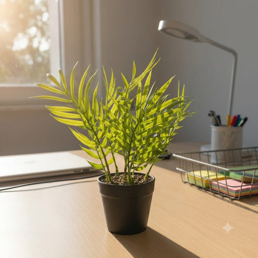 Mini Areca Pot (premium)