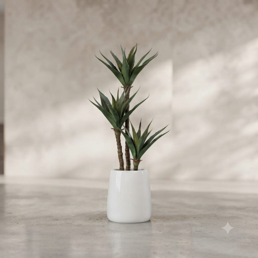 Ceremic Planter