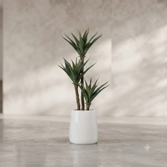 Ceremic Planter