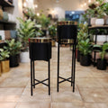 Black Gold Century Stand