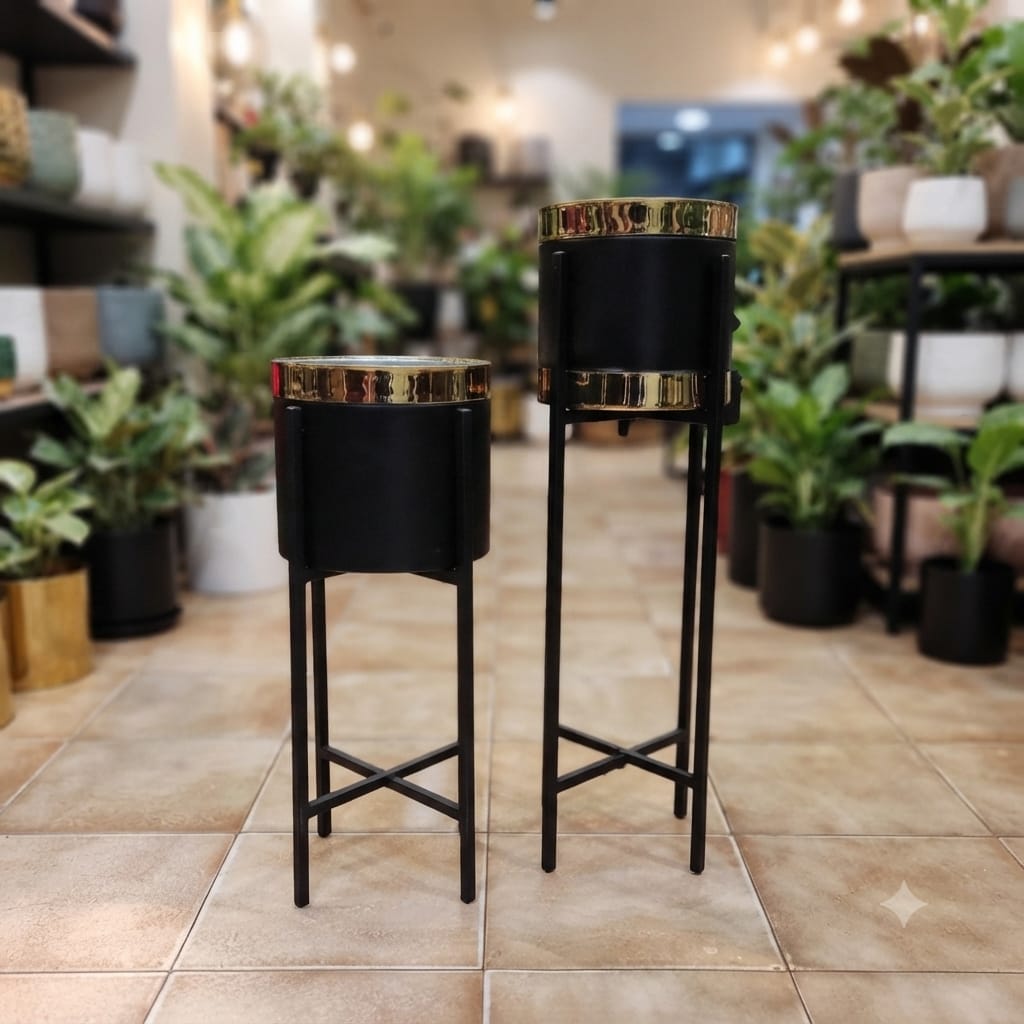 Black Gold Century Stand