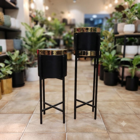Black Gold Century Stand