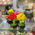 Floral Ceramic Pot