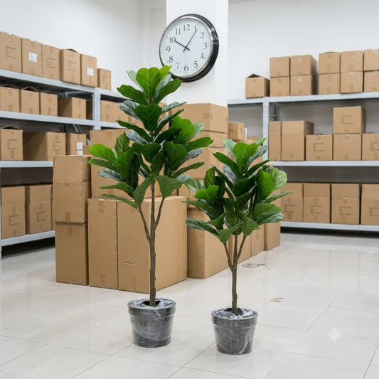 Badam Plant With Fiber Planter