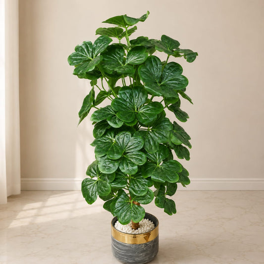 Heart shaped  36 leaf's plant With Fiber Planter