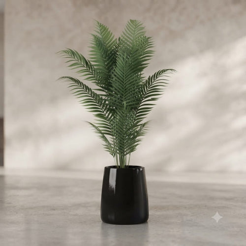 Ceremic Planter