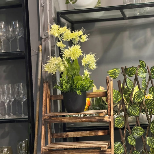 Hydenzia Floral Pots