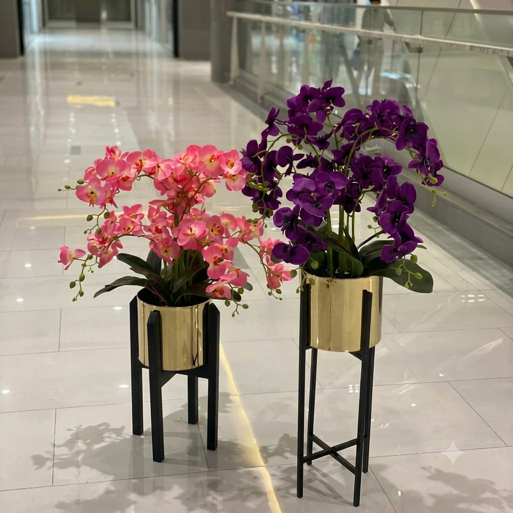 Orchids in Century Stands.