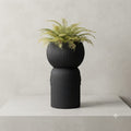 Modern Fiber Pots Collection