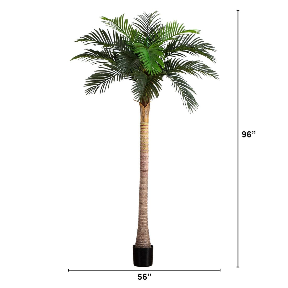 Coconut Plam Tree With Fiber Planter