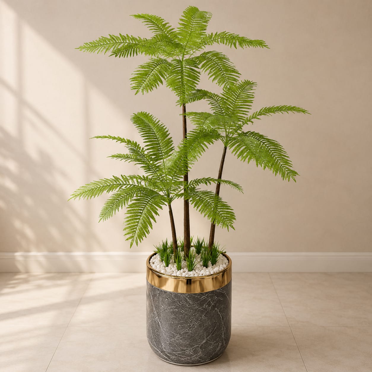 Fish Palm Plant