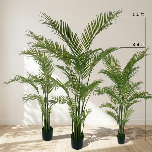 Sleek palm with signature fiberglass planter