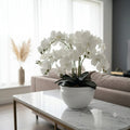 Premium Phalaenopsis ceramic bowl