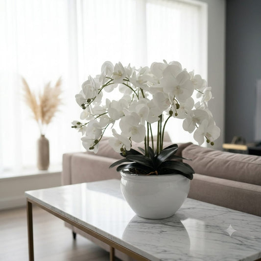 Premium Phalaenopsis ceramic bowl