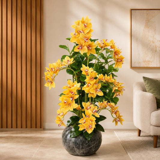 High Quality Orchid Plant Available With Fiber Planter