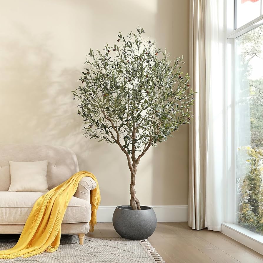 Olive Tree With Fiber Planter