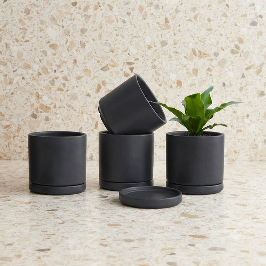 Fiber Planter With Tray