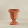 Terracotta planter