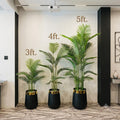 Palm plant