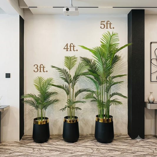 Palm plant
