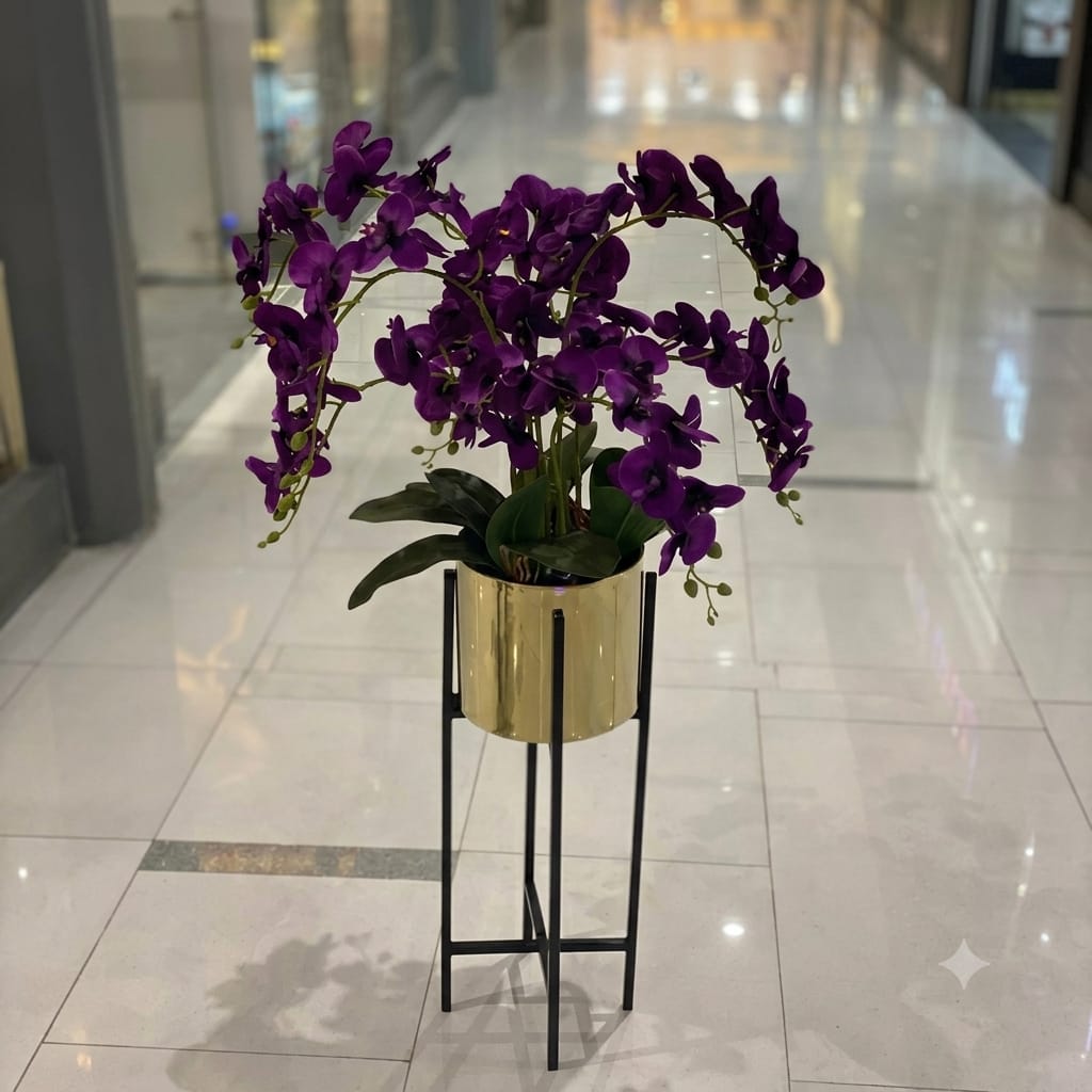 Orchids in Century Stands.