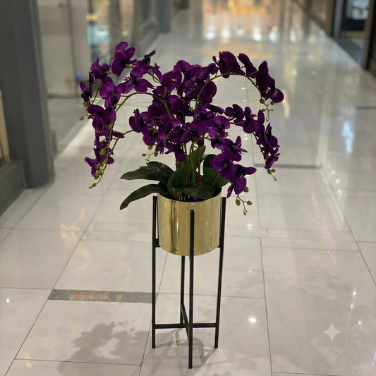 Orchids in Century Stands.