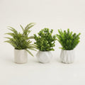 Caremic Pot With Filler