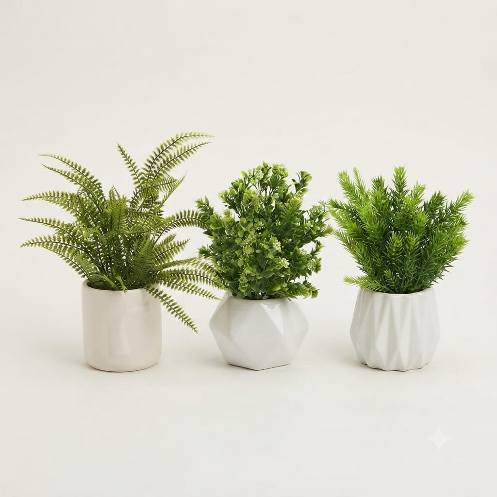 Caremic Pot With Filler