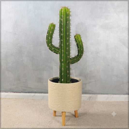 3ft. Imported Cactus