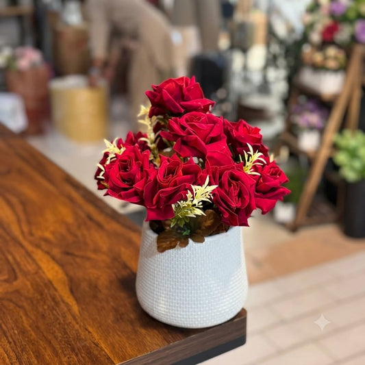 Premium velvet roses pots