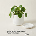 Woven Texture PVC Planter with Drainage Tray