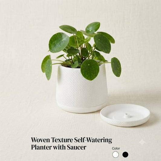 Woven Texture PVC Planter with Drainage Tray