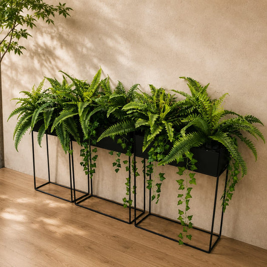 Boston Fern Cascade Planter set
