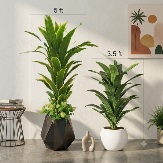 Spider Plant With Fiber Pot