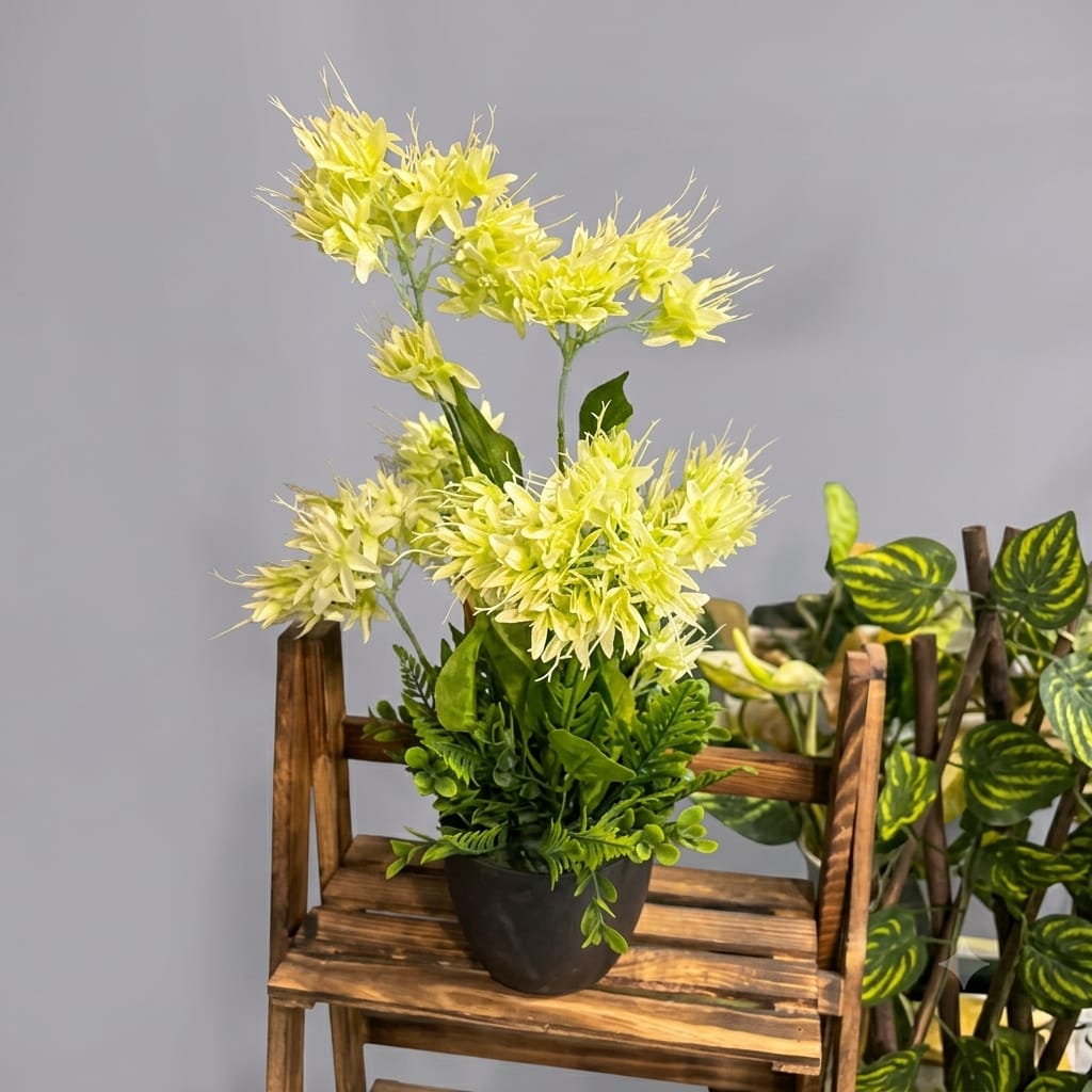 Hydenzia Floral Pots