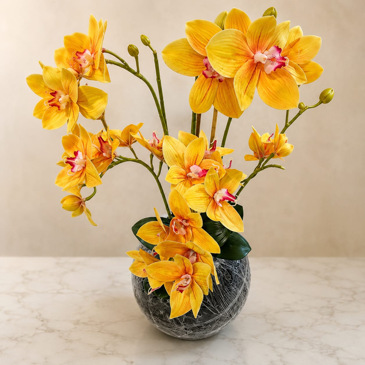 High Quality Orchid Plant Available With Fiber Planter