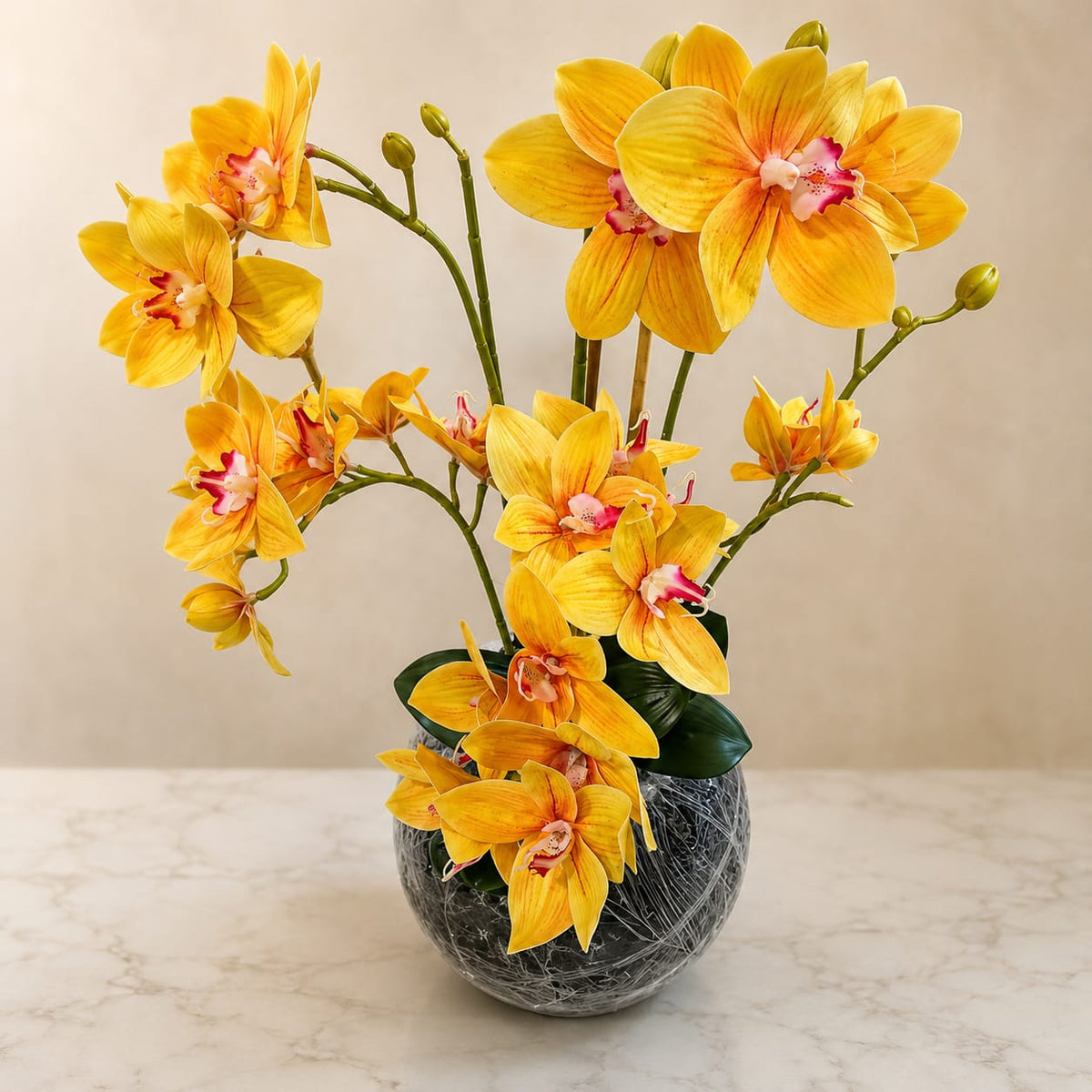 High Quality Orchid Plant Available With Fiber Planter