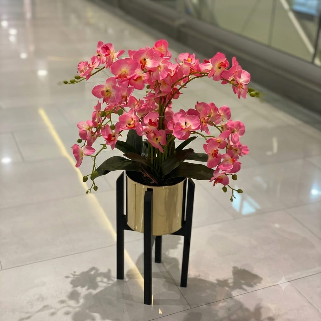 Orchids in Century Stands.