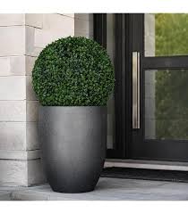 Exclusive Topiaries