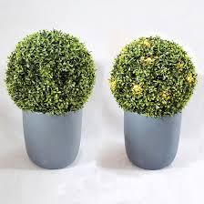 Exclusive Topiaries