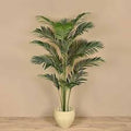 Palm Tree