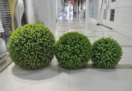 Exclusive Topiaries