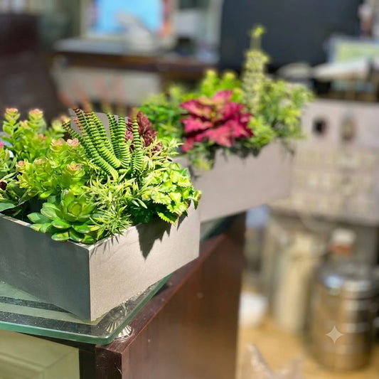 Mini Kiyari Arrangment
